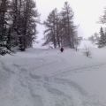 310120103815.jpg